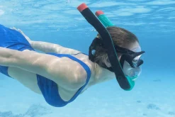 Bestway Swim Gear< Flowtech Multicolor Full-Face Snorkel Mask S/M